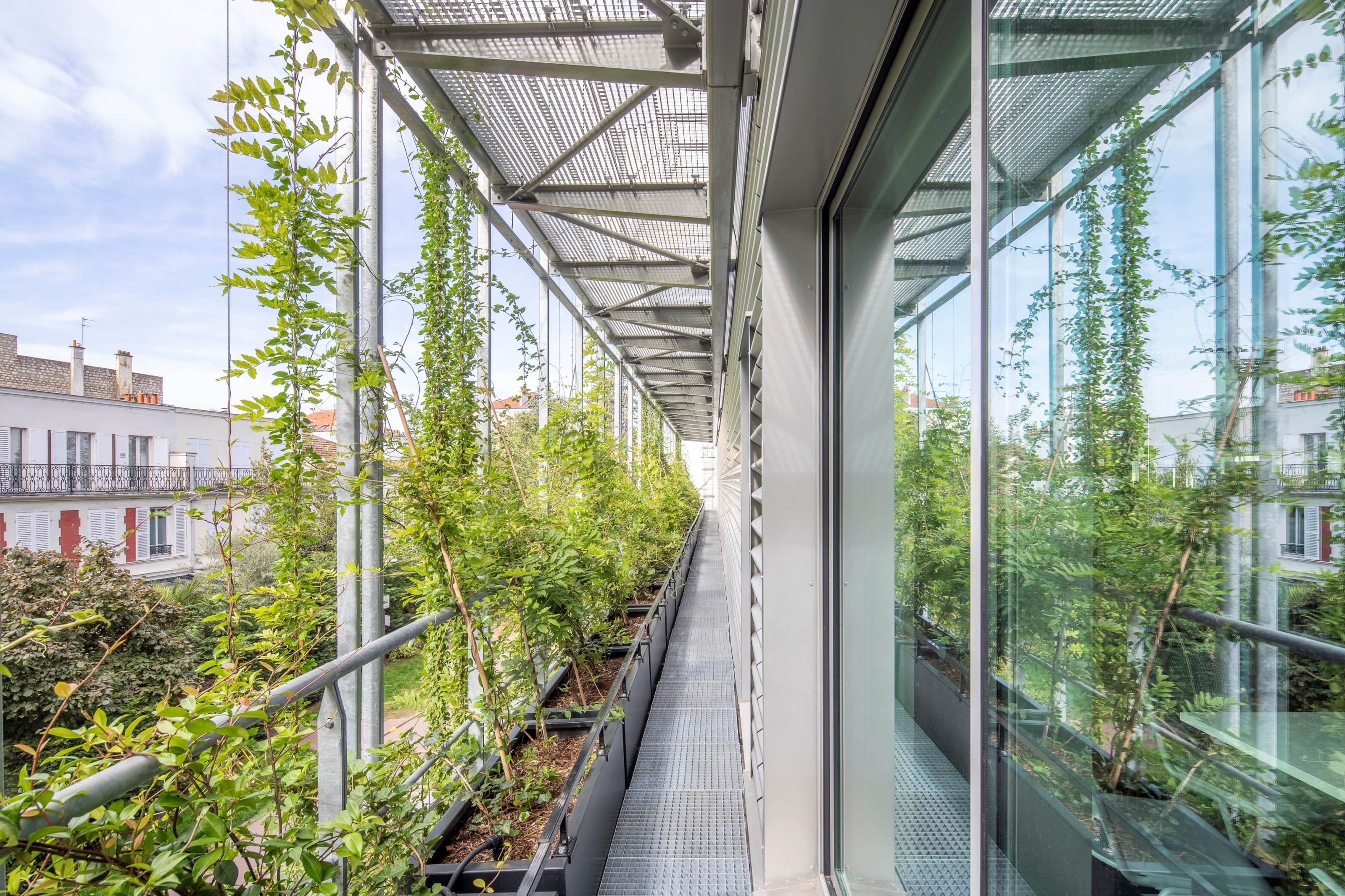 Passage extérieur vitré bordé de plantes grimpantes sur une façade